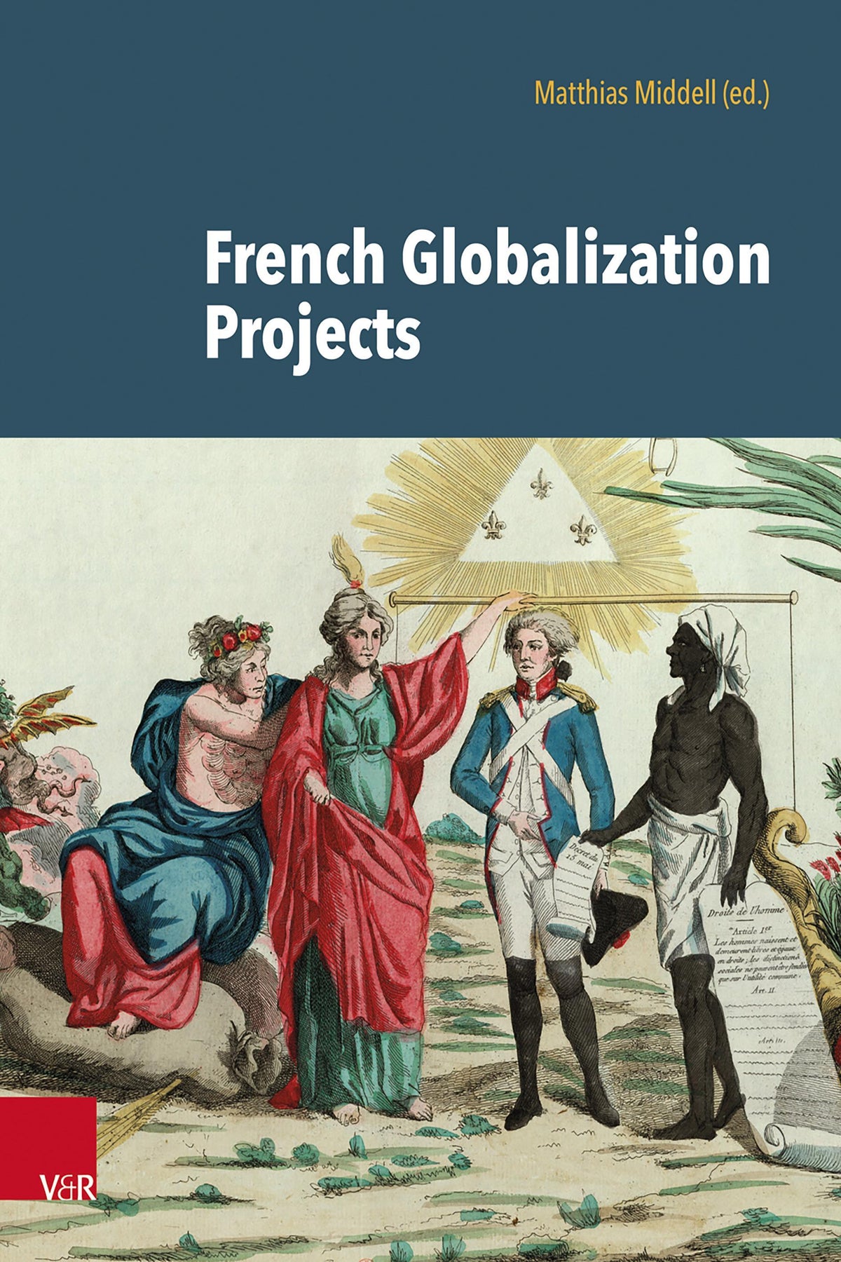 Buchcover: French Globalization Projects