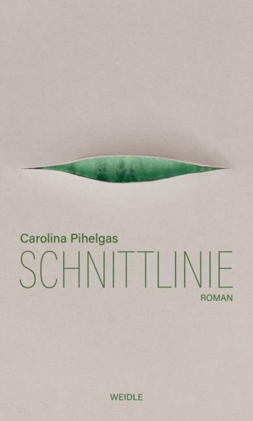 Schnittlinie