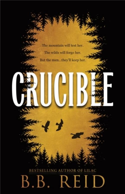 Buchcover: Crucible
