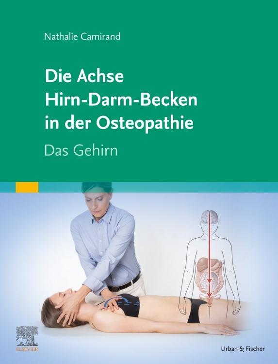 Die Achse Hirn-Darm-Becken in der Osteopathie
