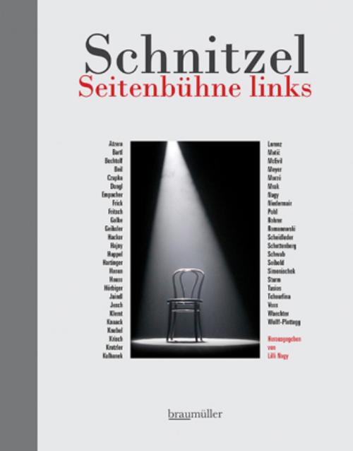 Buchcover: Schnitzel Seitenbühne links
