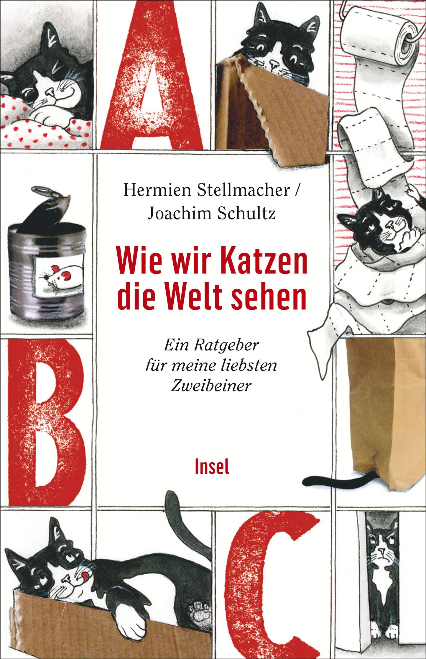 Wie wir Katzen die Welt sehen