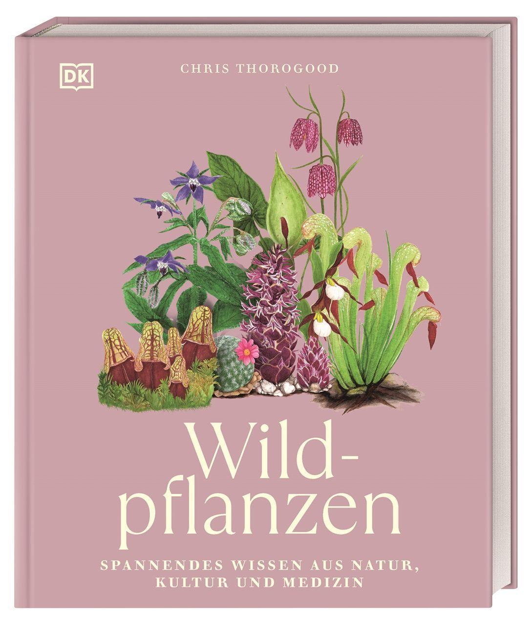 Wildpflanzen: Spannendes Wissen aus Natur, Kultur und Medizin. Wunderschön illustriertes Wildpflanzen-Buch mit 68 detaillierten Pflanzen-Steckbriefen (Faszination Natur)