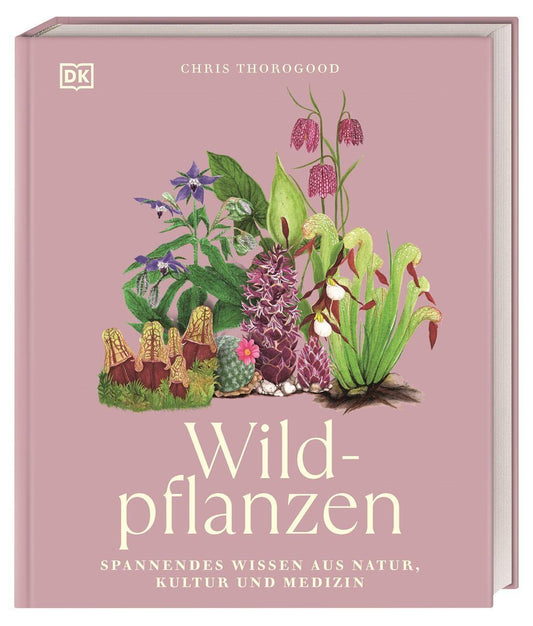 Wildpflanzen: Spannendes Wissen aus Natur, Kultur und Medizin. Wunderschön illustriertes Wildpflanzen-Buch mit 68 detaillierten Pflanzen-Steckbriefen (Faszination Natur)