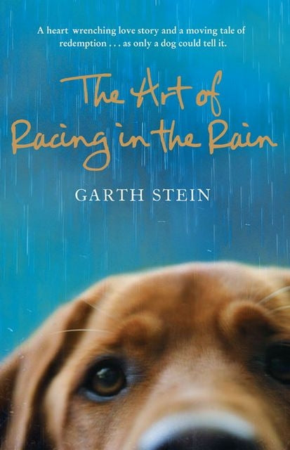 The Art of Racing in the Rain