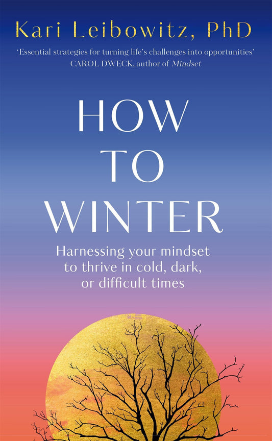 Buchcover: How to Winter