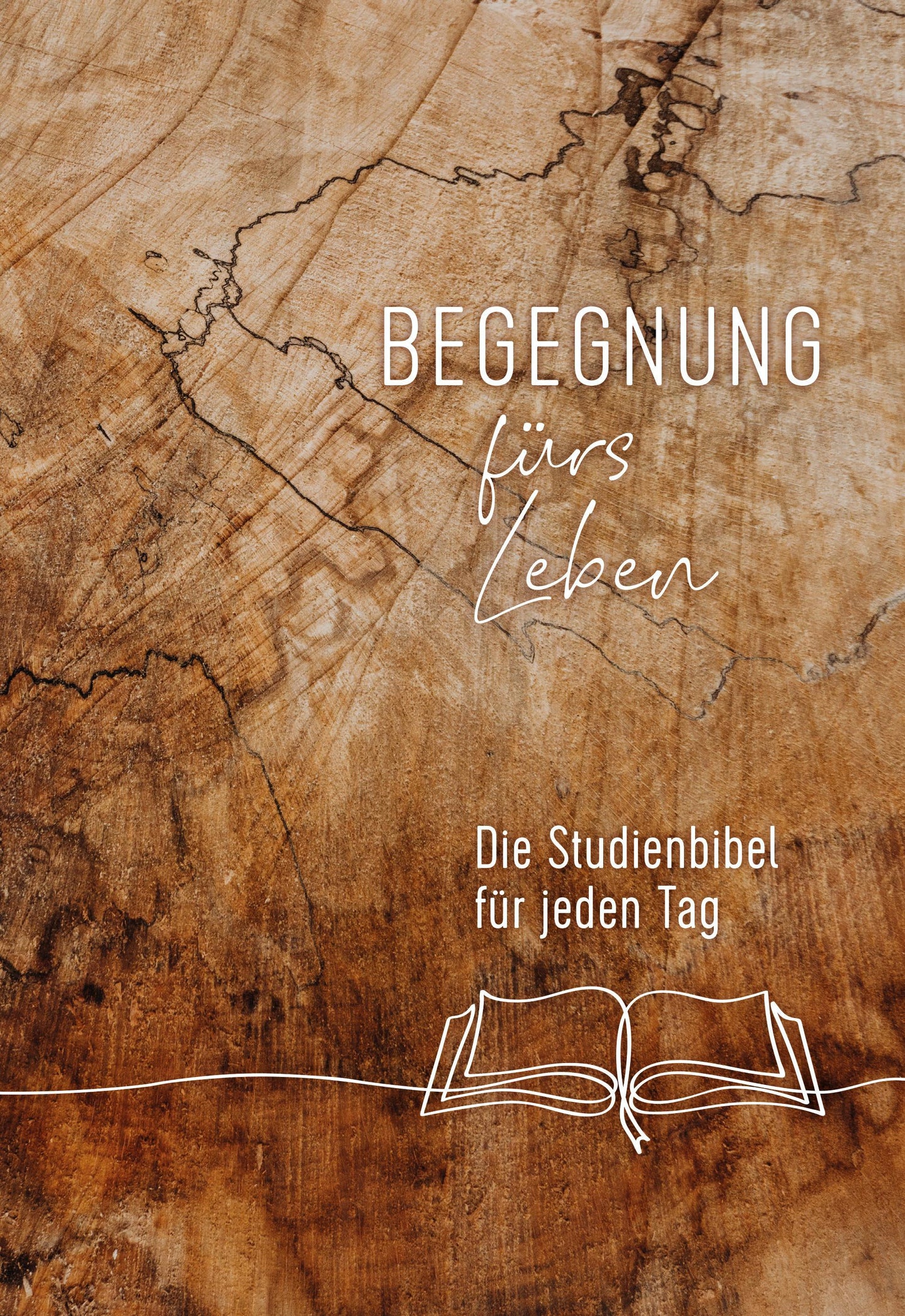 Begegnung fürs Leben, Motiv \"Buch\"