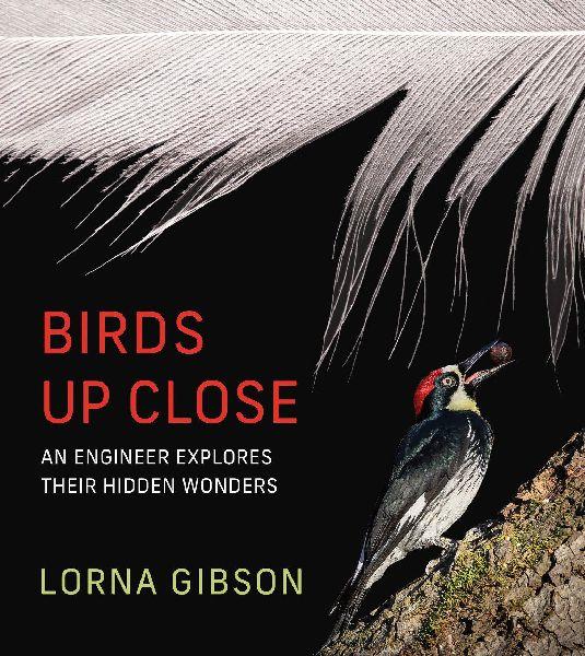 Buchcover: Birds Up Close