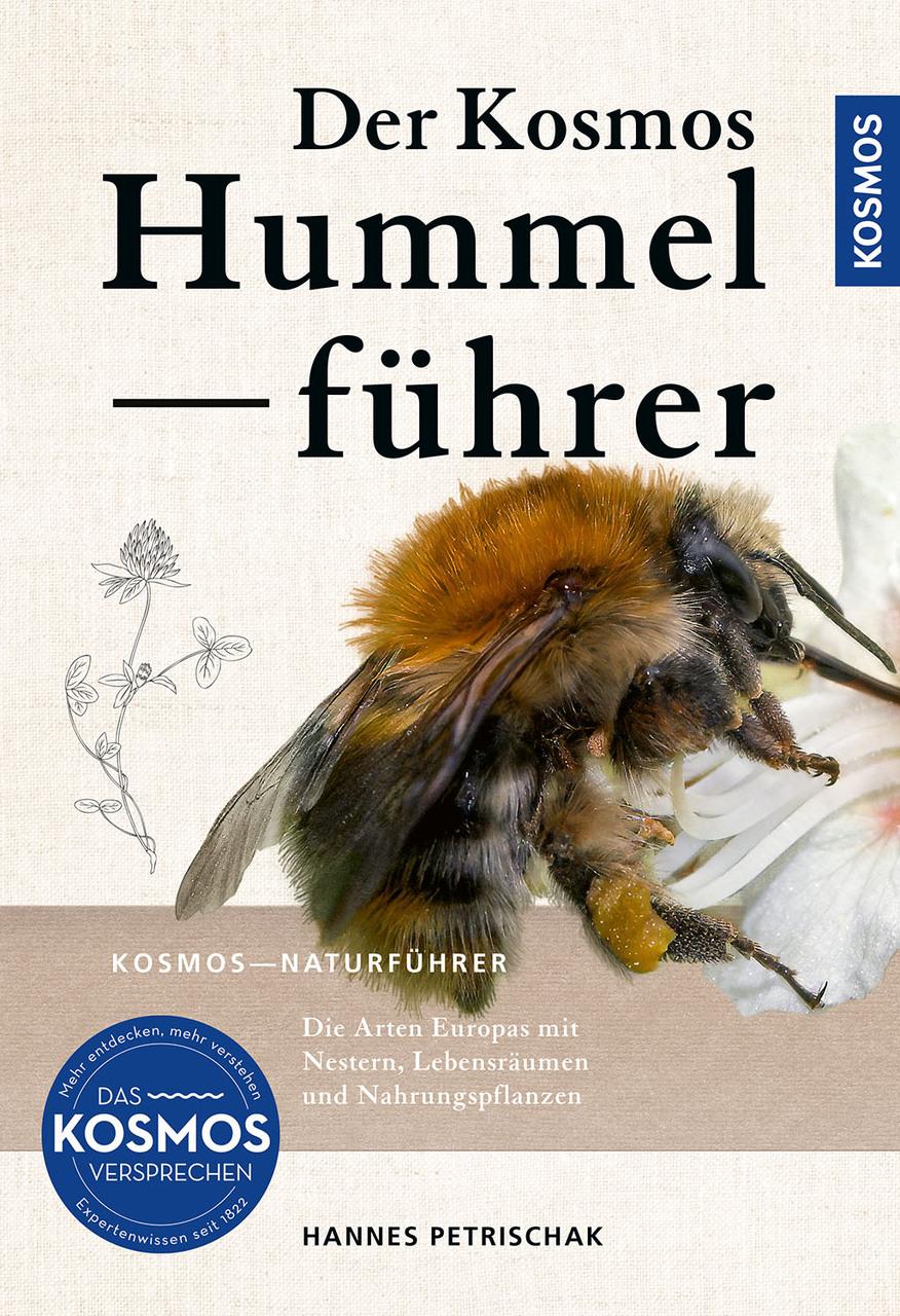 Der KOSMOS Hummelführer: Die Arten Europas - Verbreitung, Lebensräume und Nahrungspflanzen. Hummeln sind staatenbildend und zählen zu den echten Bienen, in Europa gibt es etwa 70 Arten.
