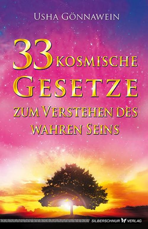 Buchcover: 33 kosmische Gesetze zum Verstehen des wahren Seins