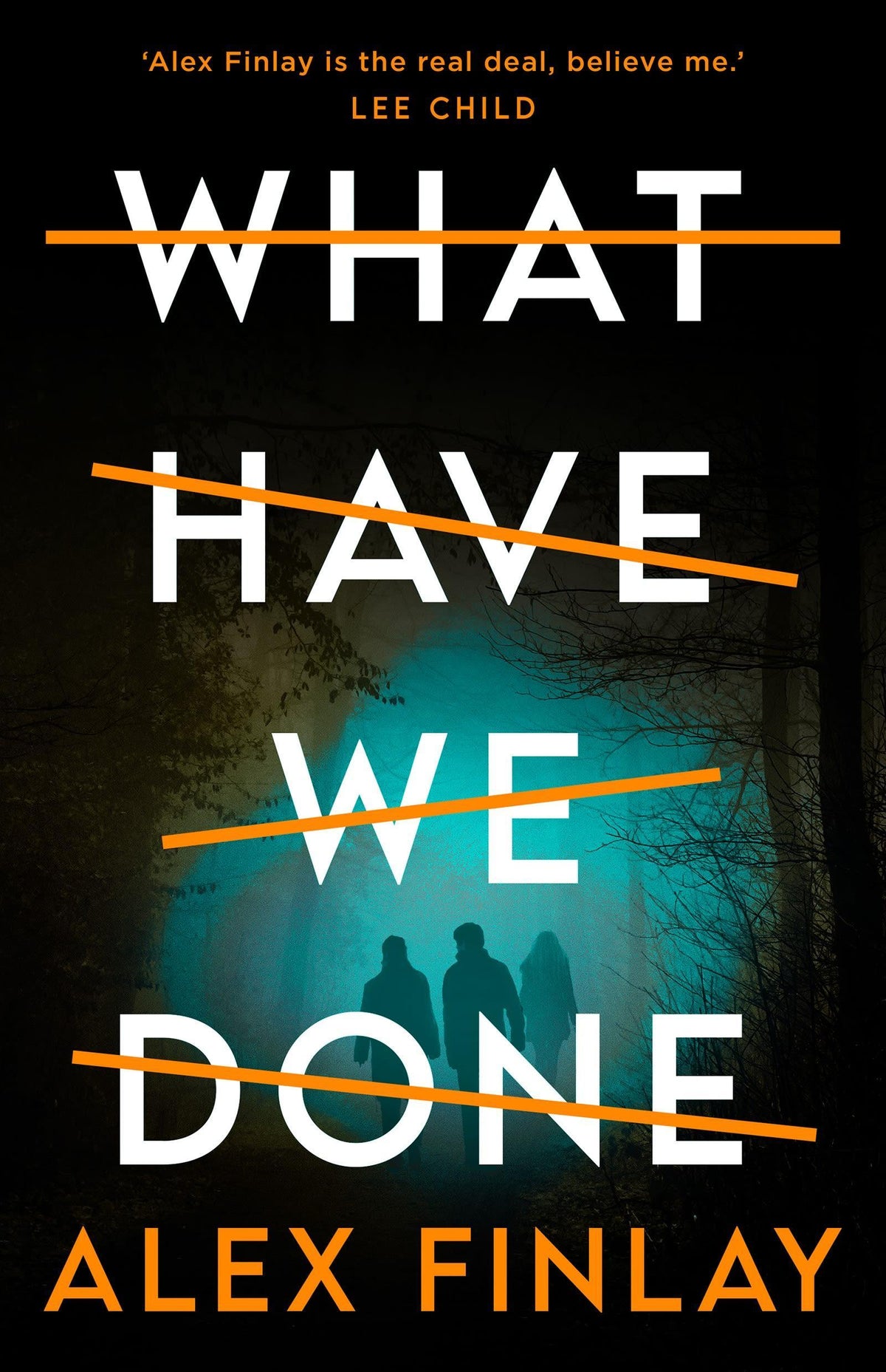 Buchcover: What Have We Done