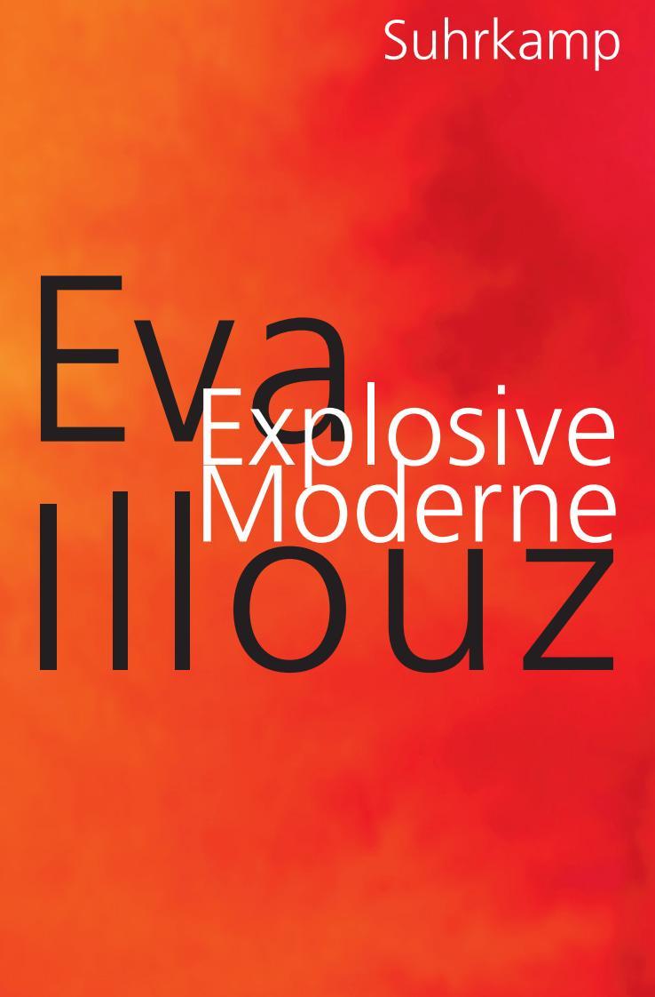 Buchcover: Explosive Moderne