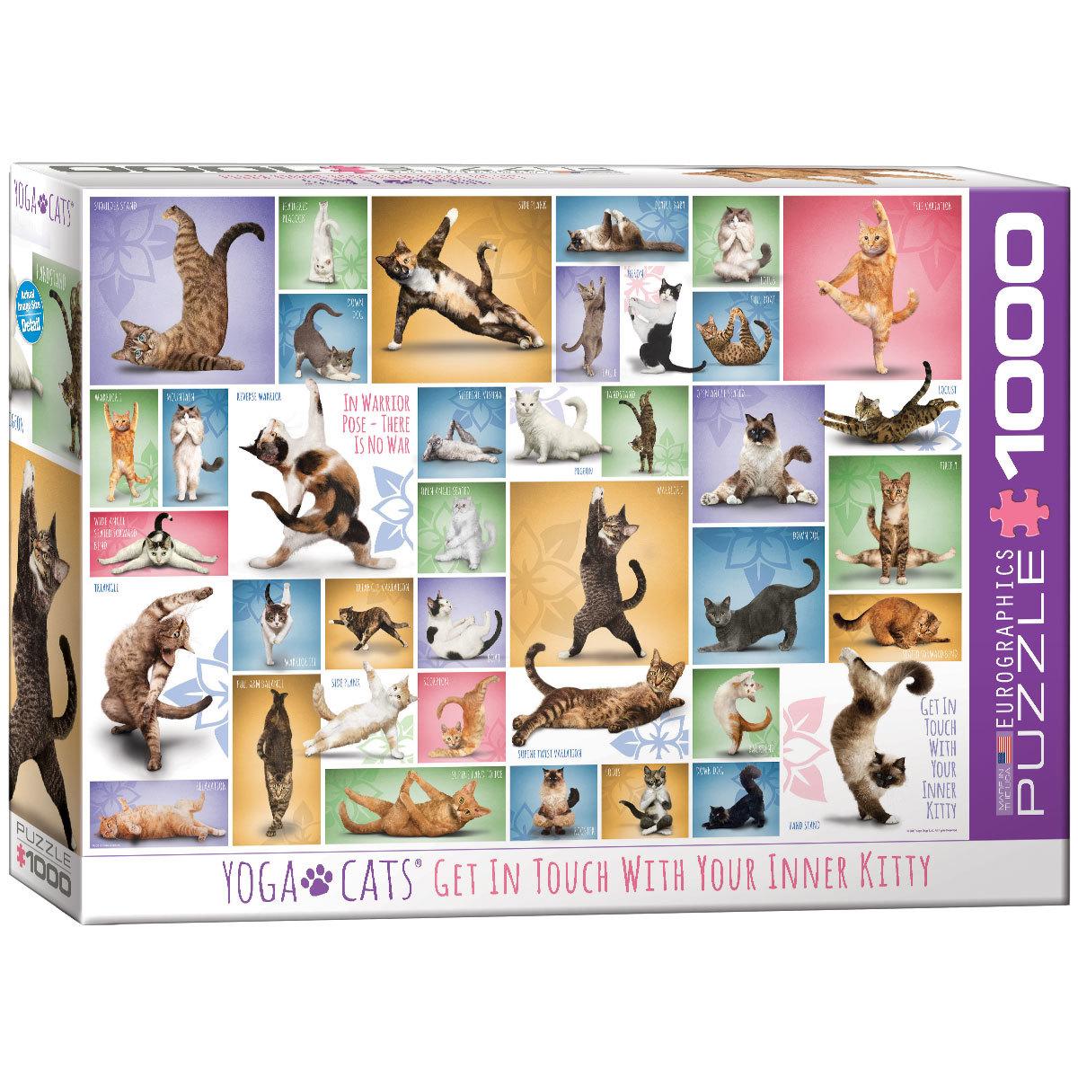 Yoga Cats