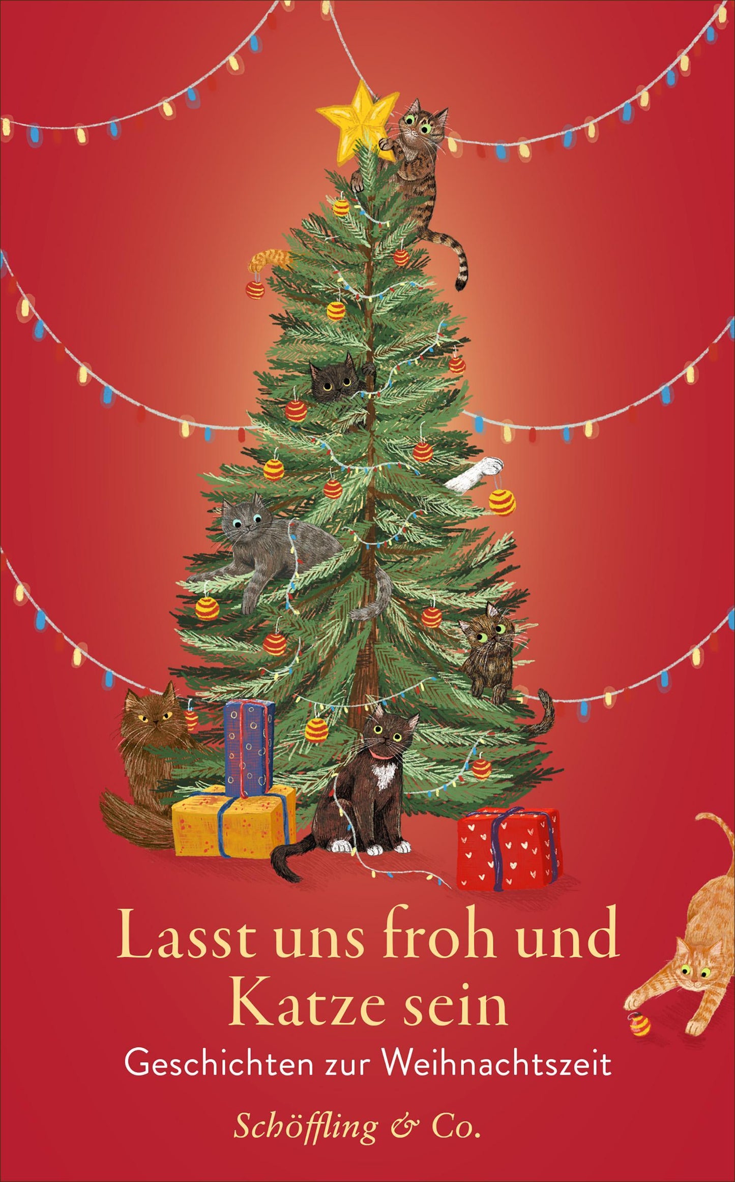 Lasst uns froh und Katze sein