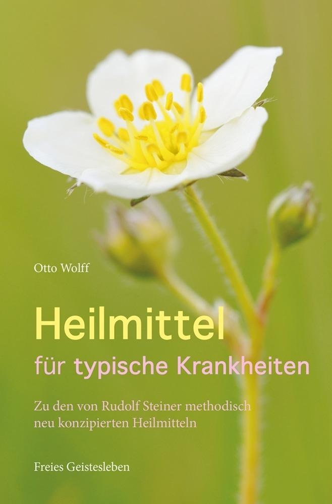 Buchcover: Heilmittel für typische Krankheiten
