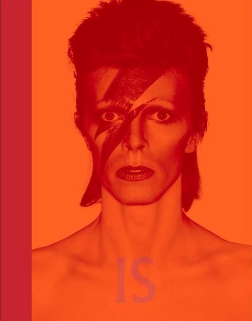 David Bowie Is inside