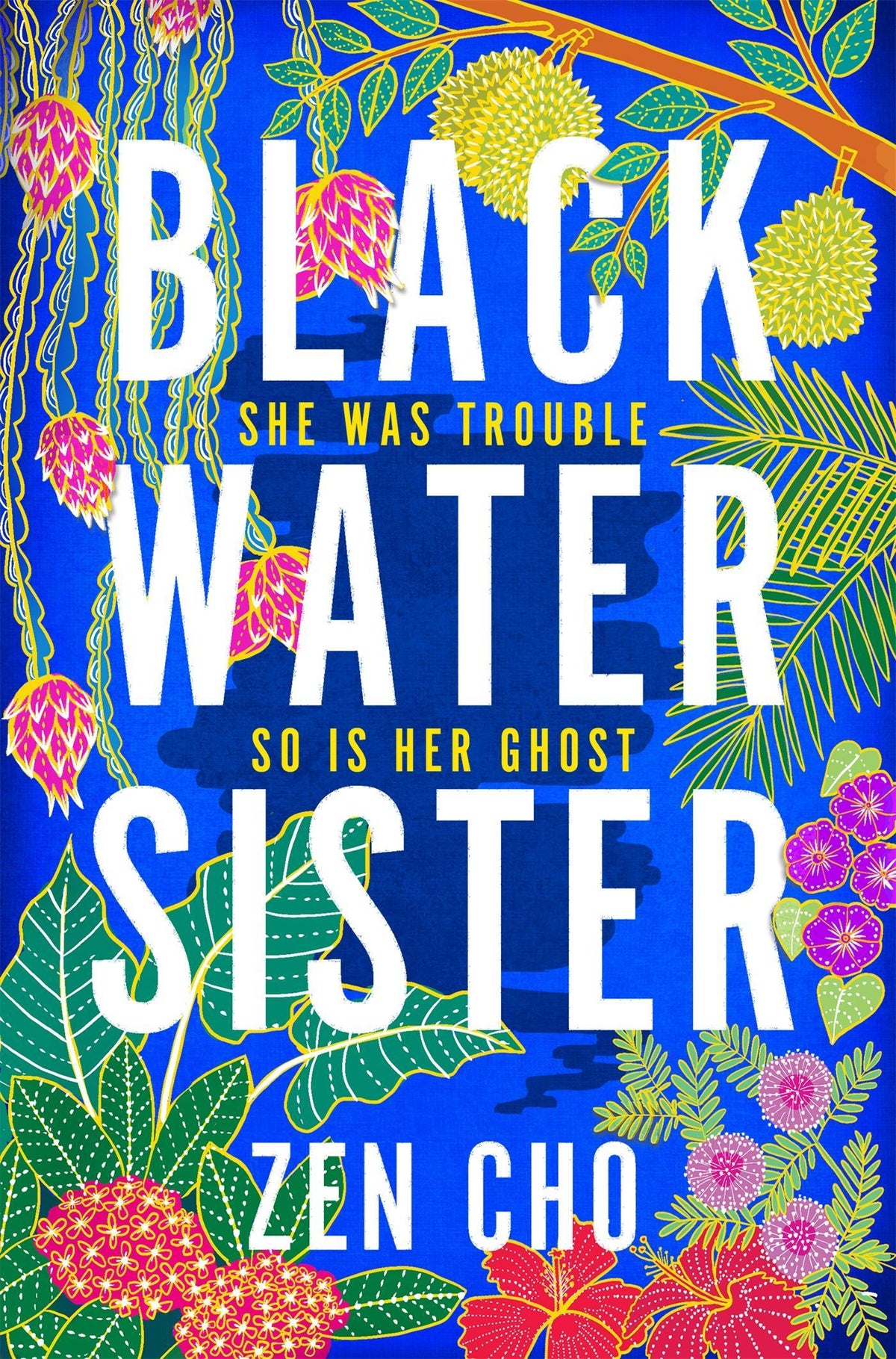 Buchcover: Black Water Sister