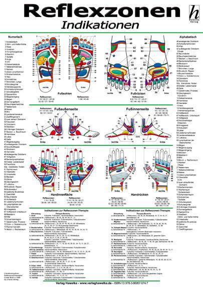 Buchcover: Reflexzonen-Therapie Poster - Indikationen DIN A2