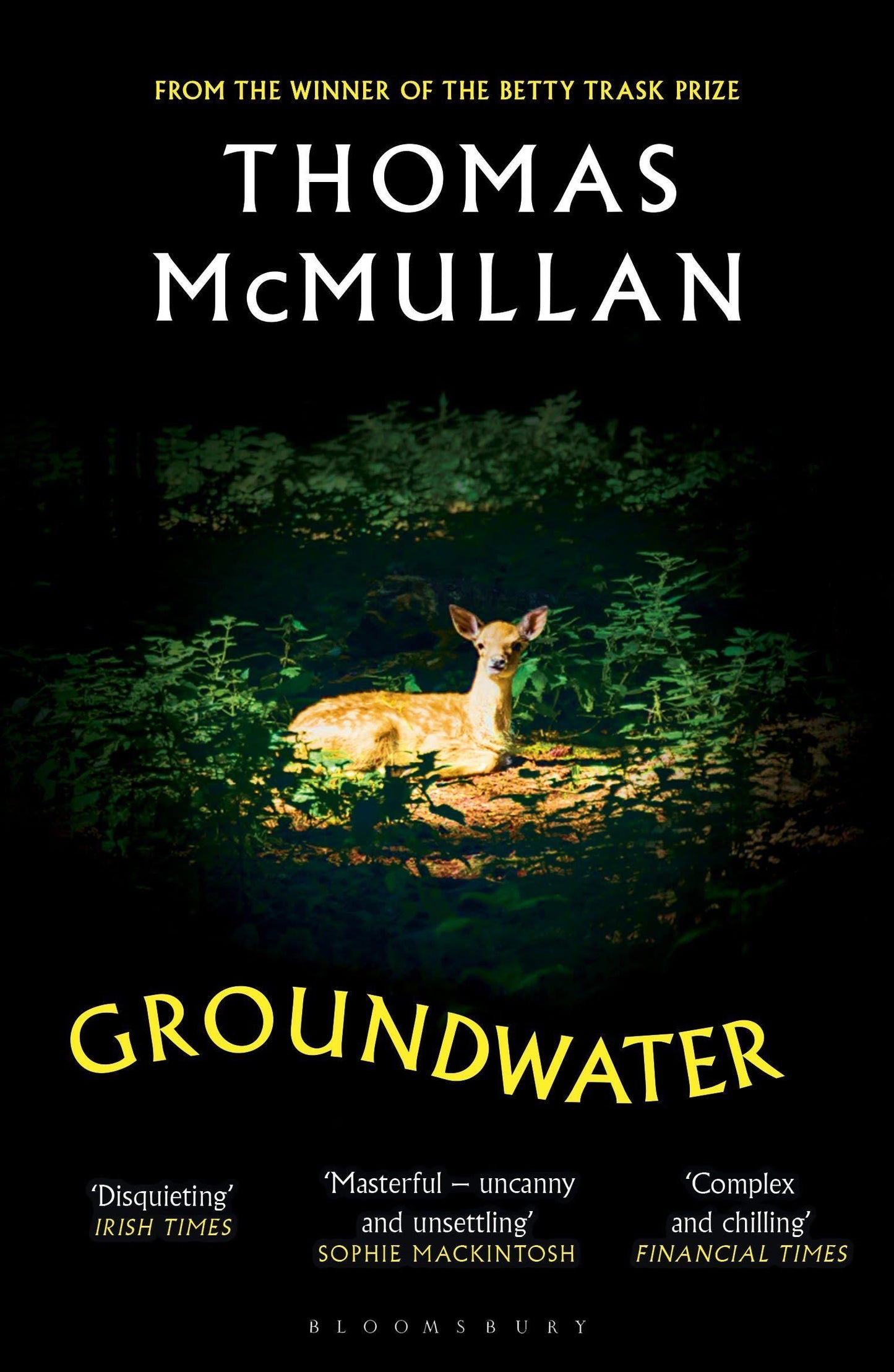 Groundwater