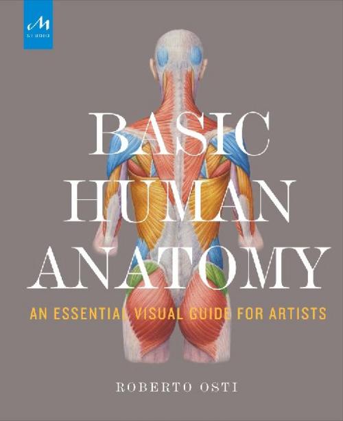 Basic Human Anatomy