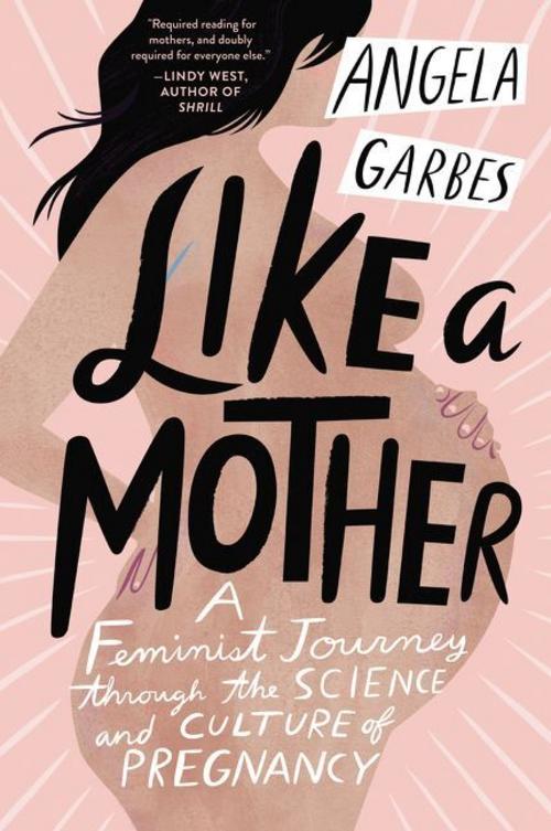 Buchcover: Like a Mother