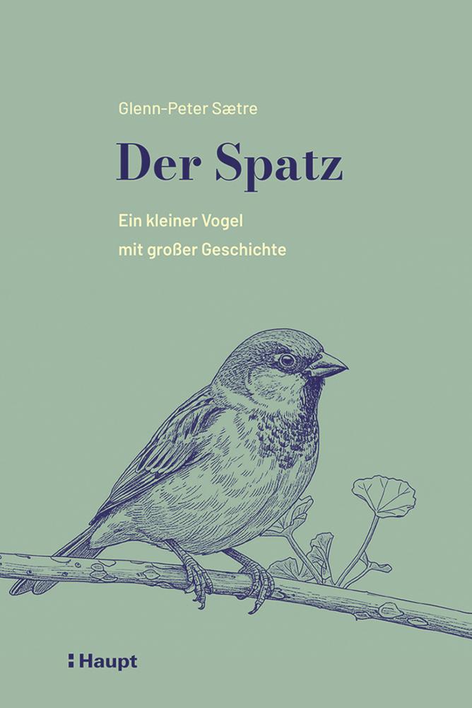 Der Spatz: Ein kleiner Vogel mit großer Geschichte