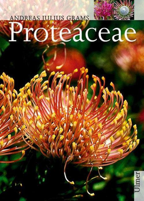 Buchcover: Proteaceae