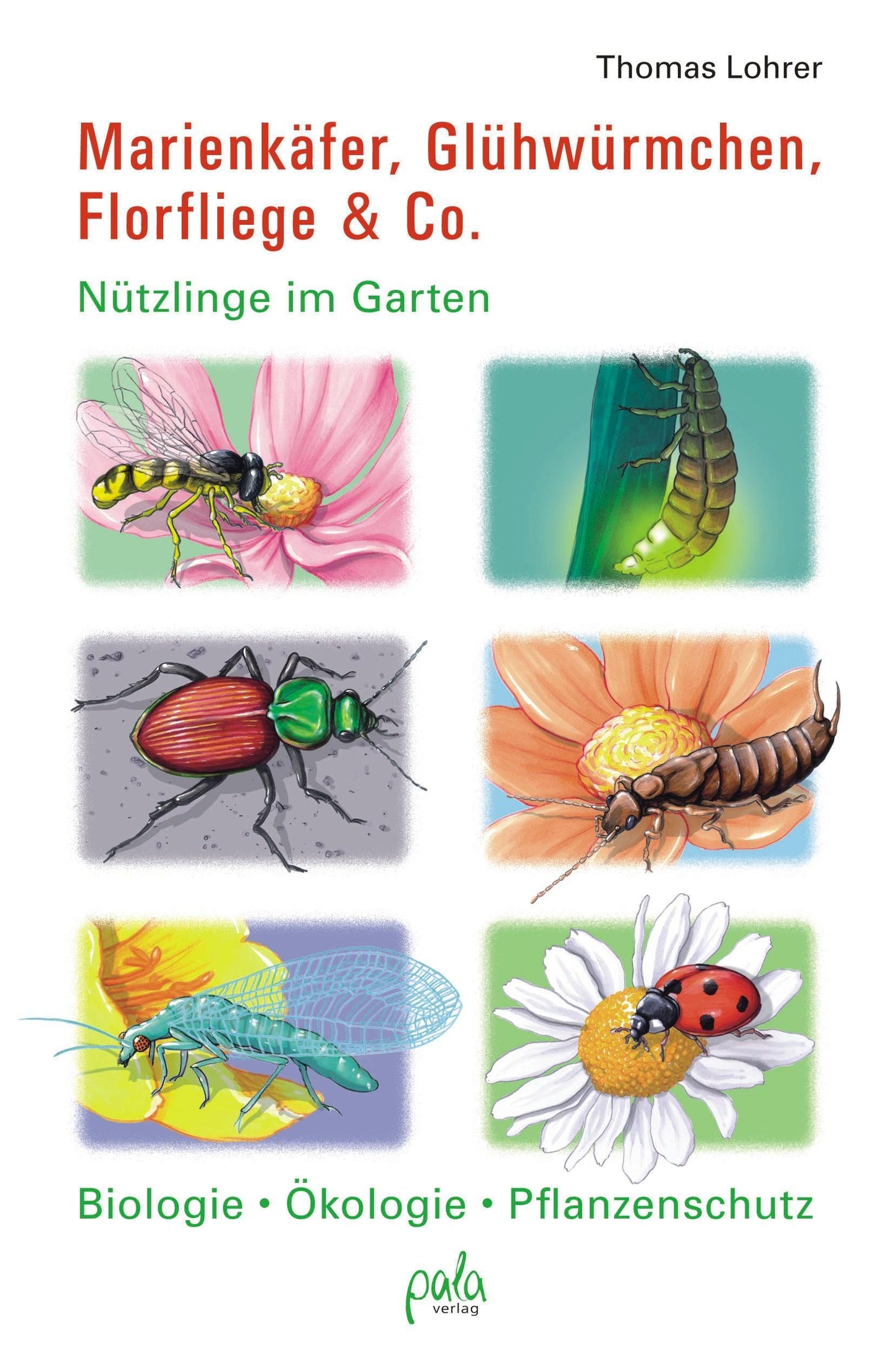 Buchcover: Marienkäfer, Glühwürmchen, Florfliege & Co.