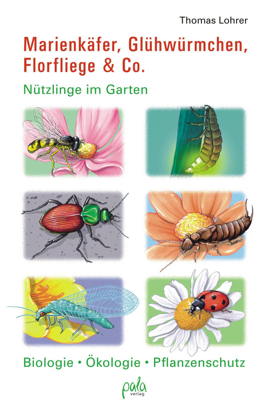 Buchcover: Marienkäfer, Glühwürmchen, Florfliege & Co.