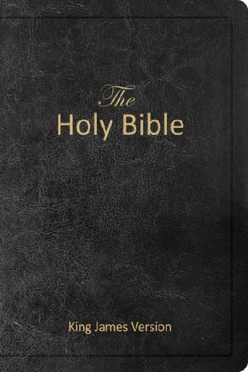 The Holy Bible - King James Version (Kjv, Holy Spirit Edition, Black Imitation Leather, Dedication Page, Prayer Section)