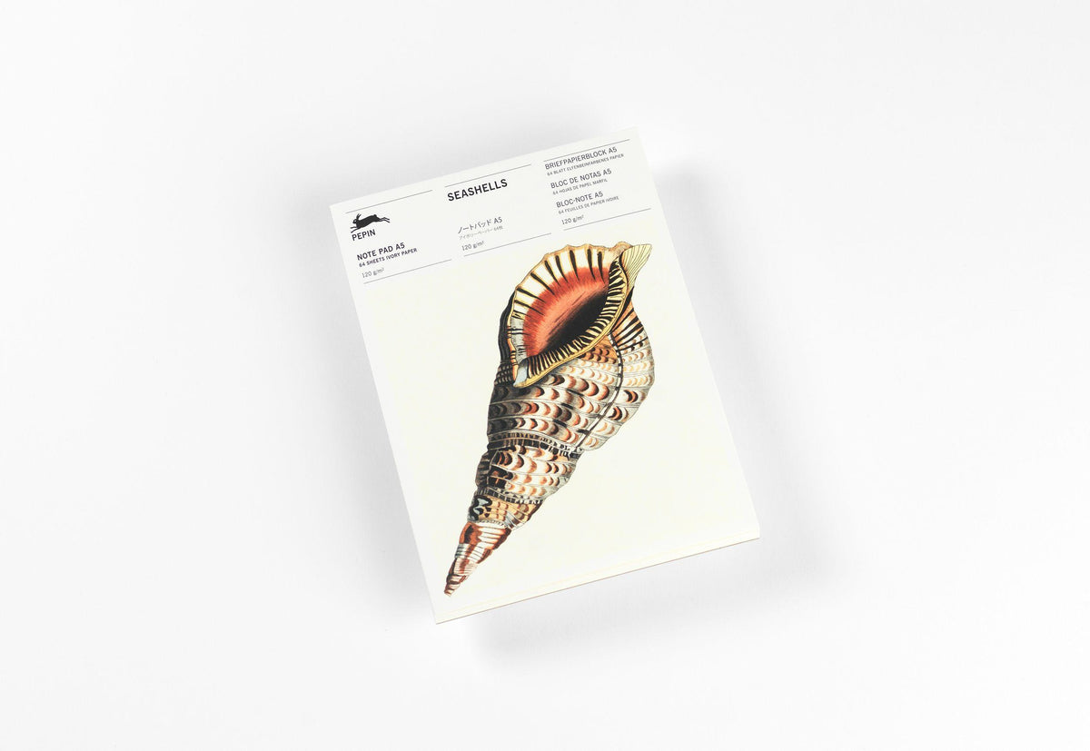 Buchcover: Seashells