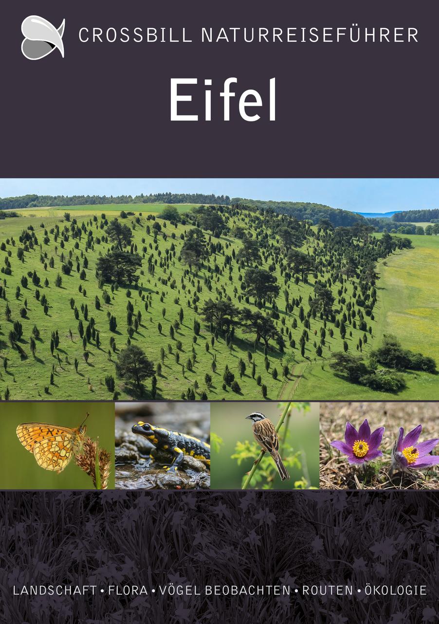 Op den Kamp, Olaf/Eifel