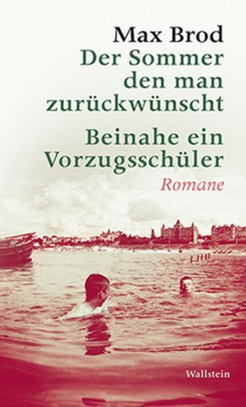Der Sommer, den man zurückwünscht / Beinahe ein Vorzugsschüler
