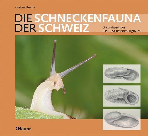 Buchcover: Die Schneckenfauna der Schweiz
