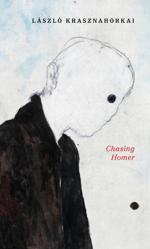 Buchcover: Chasing Homer