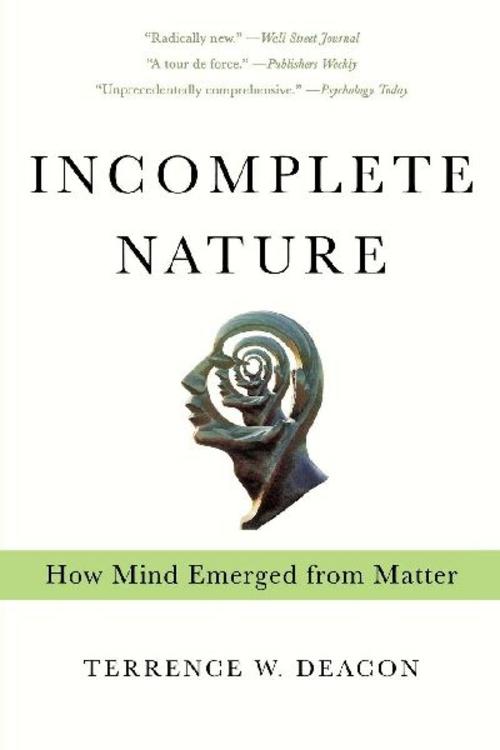Incomplete Nature