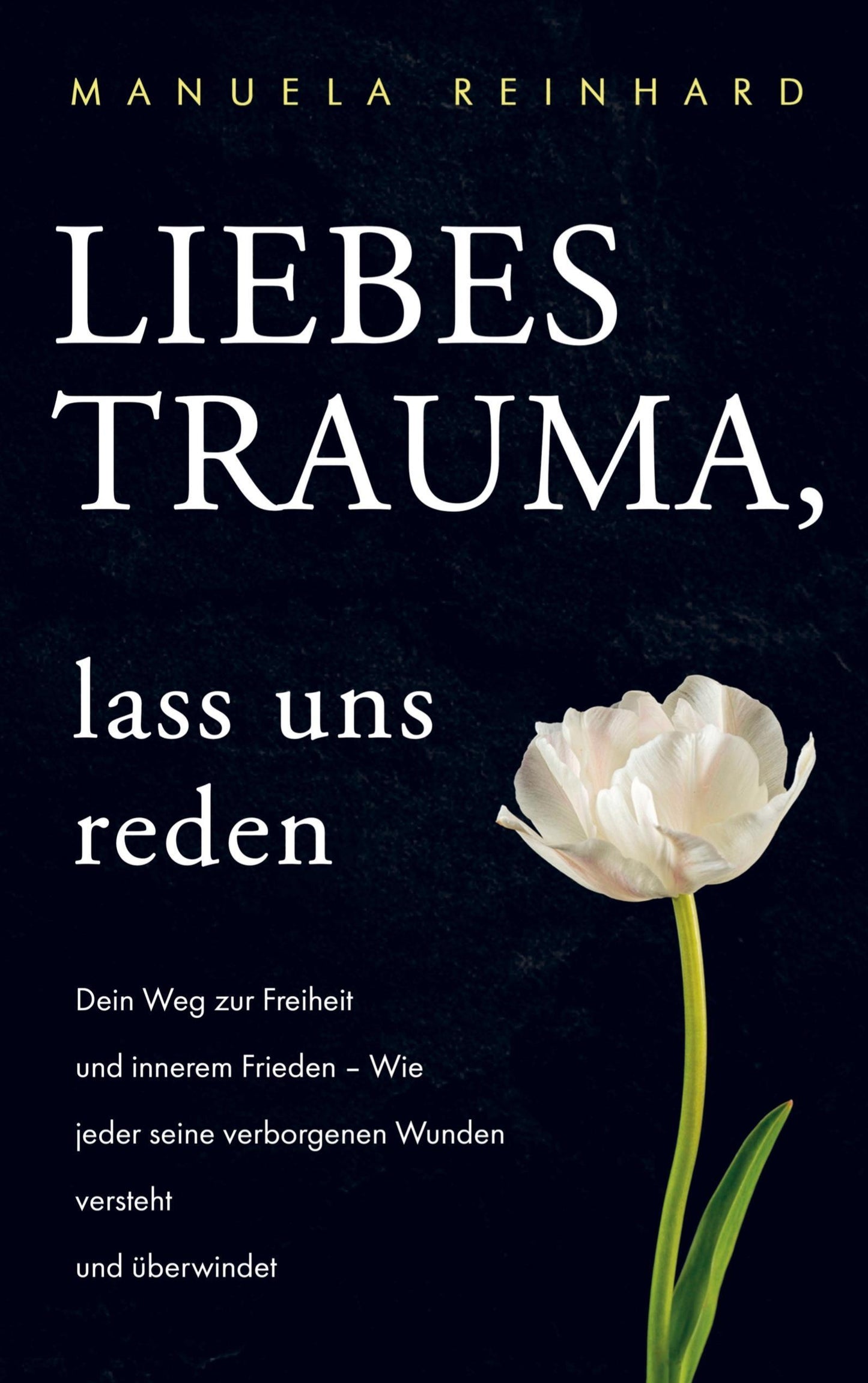 Liebes Trauma, lass uns reden