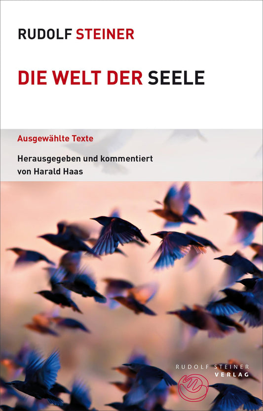 Buchcover: Die Welt der Seele