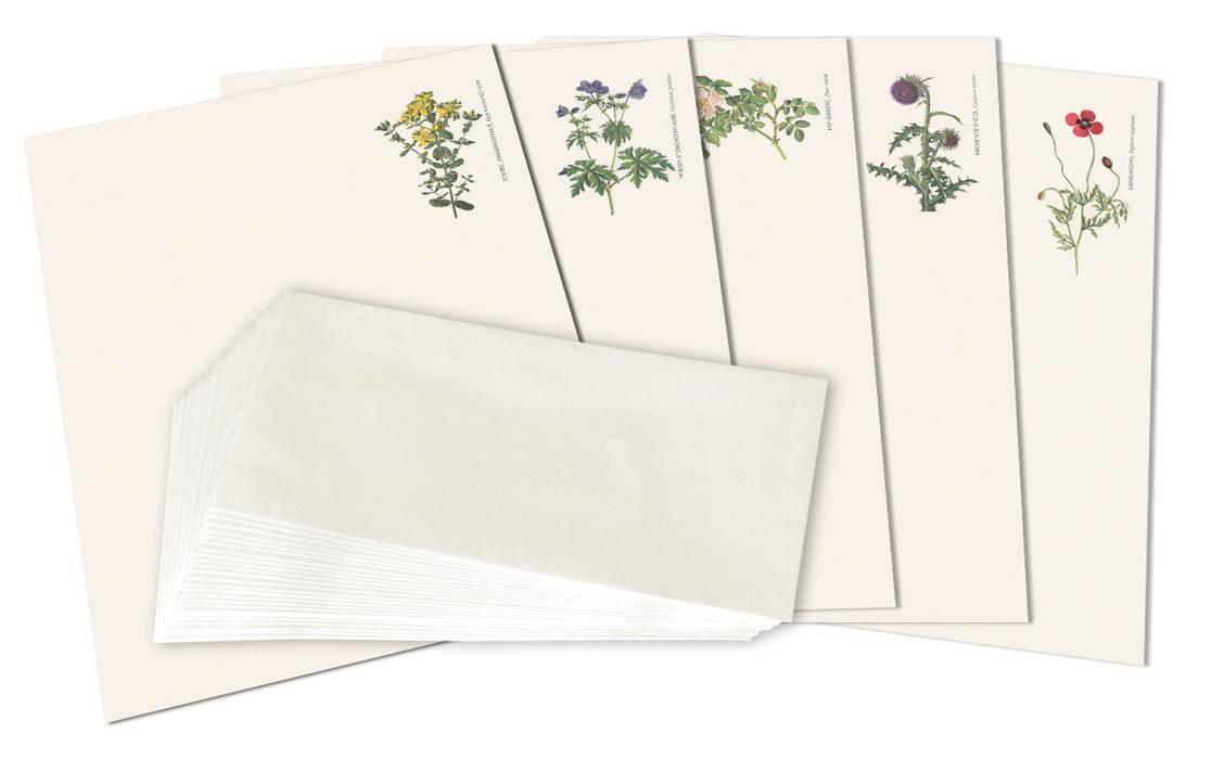 Buchcover: Briefpapier \"Flora\"