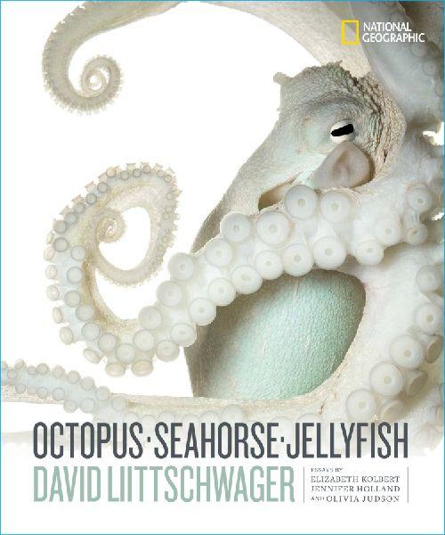 Buchcover: Octopus, Seahorse, Jellyfish