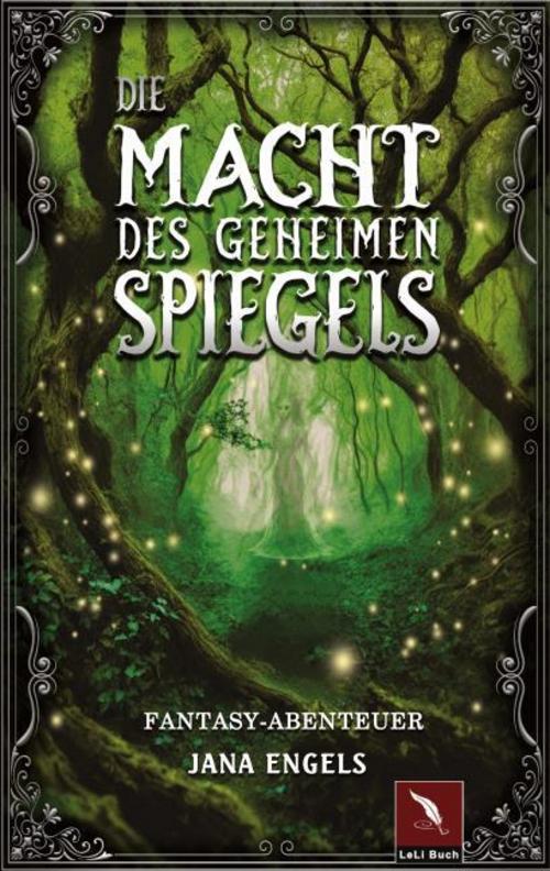 Die Macht des geheimen Spiegels