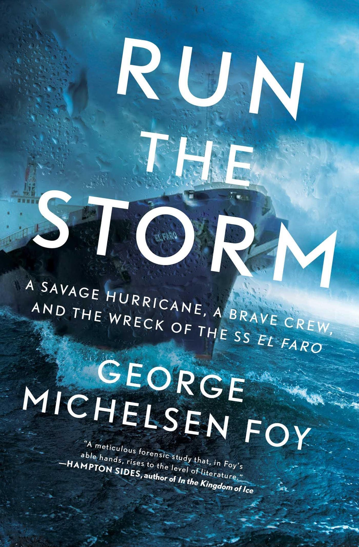 Buchcover: Run the Storm
