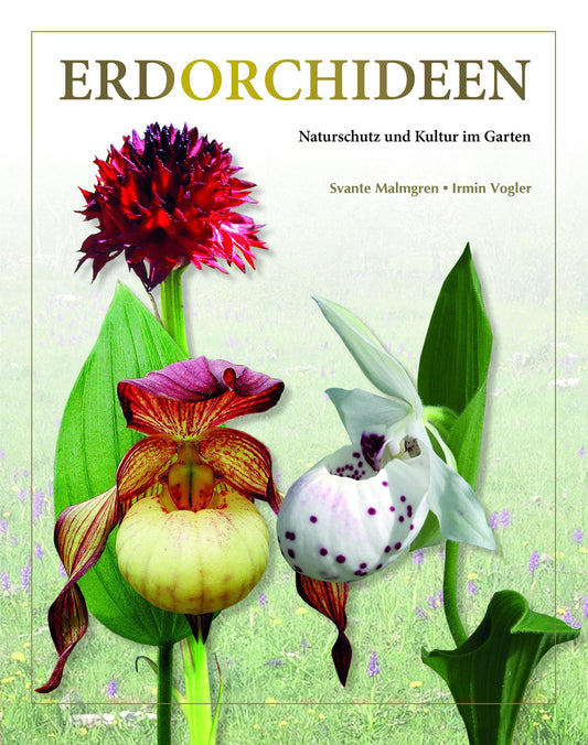 Buchcover: Erdorchideen