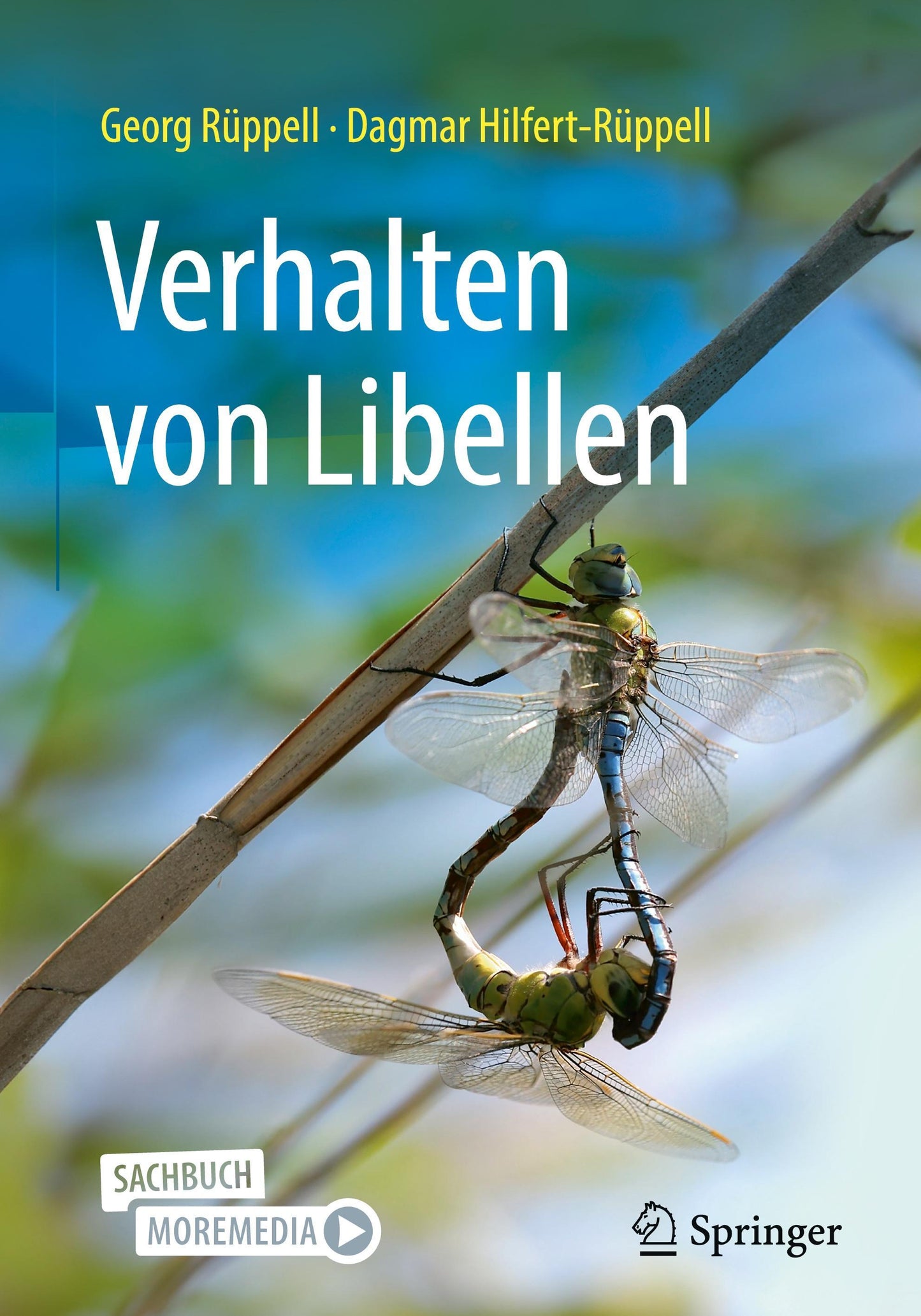 Verhalten von Libellen