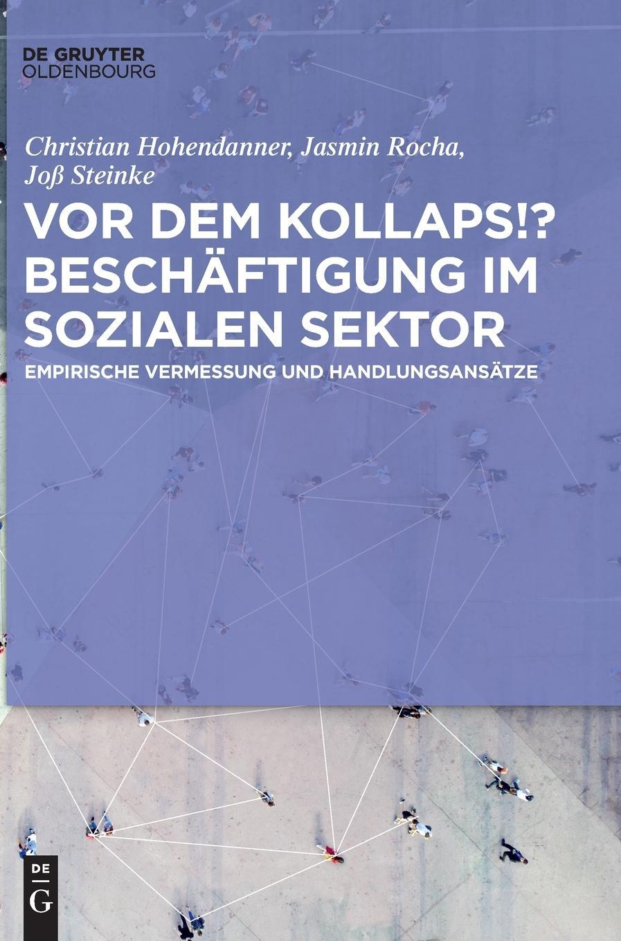 Working in the Social Sector : Current Situation and Future Challenges