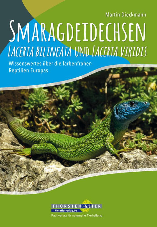 Buchcover: Smaragdeidechsen Lacerta bilineata und Lacerta viridis