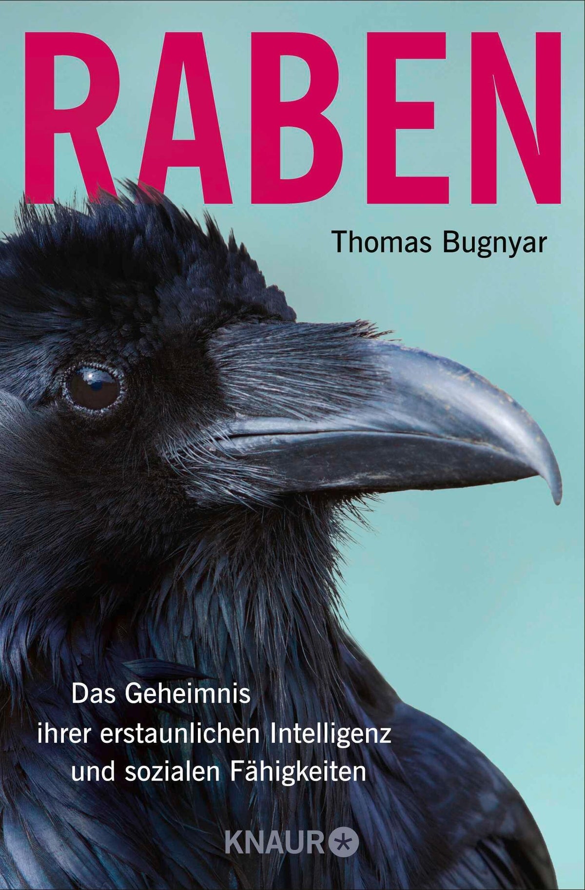 Buchcover: Raben