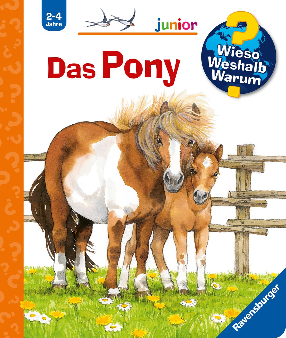 WWW junior Das Pony