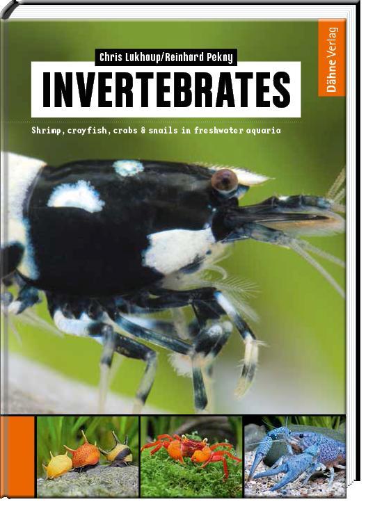 Buchcover: Invertebrates