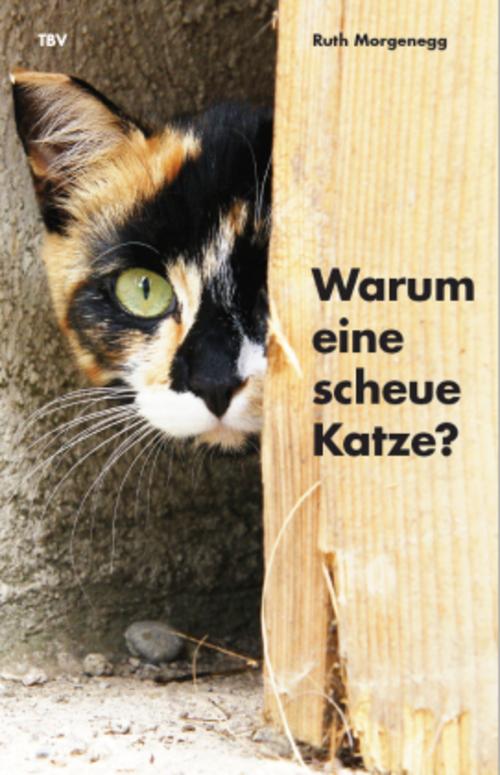 Buchcover: Warum eine scheue Katze?